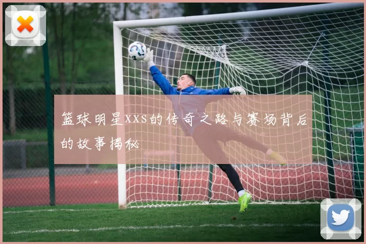 篮球明星xxs的传奇之路与赛场背后的故事揭秘