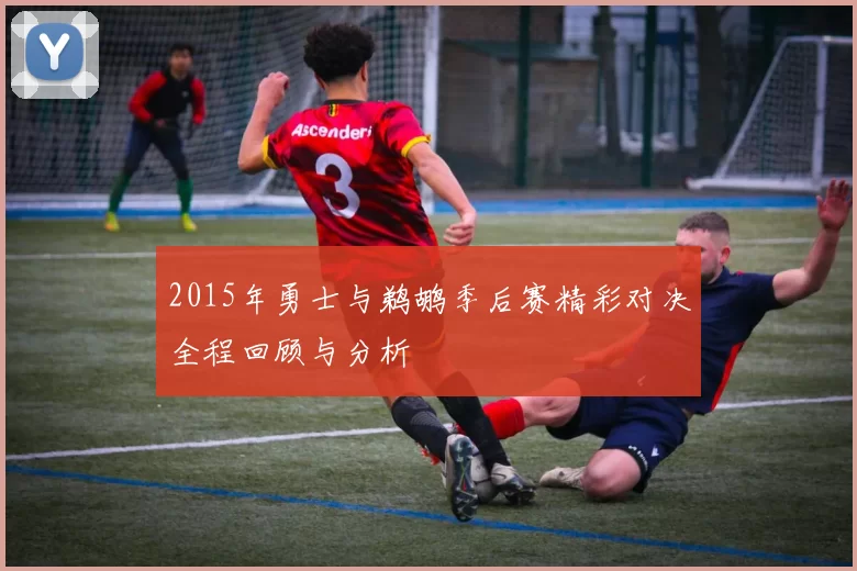 2015年勇士与鹈鹕季后赛精彩对决全程回顾与分析