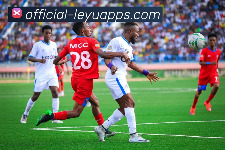 leyu平台品牌故事