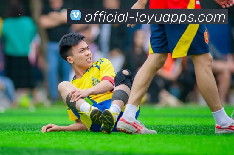 leyu平台服务体系